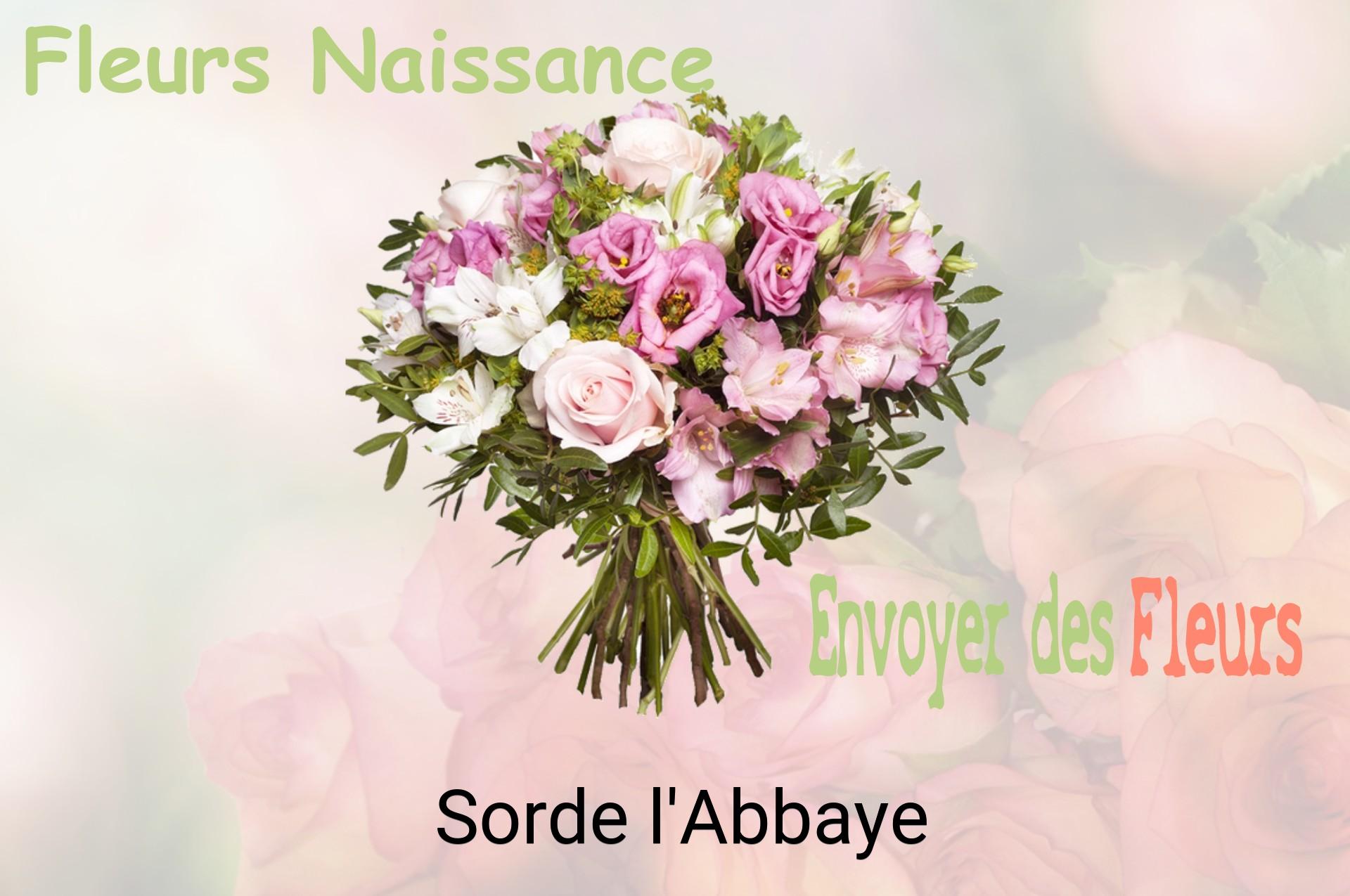 Bouquet de fleurs de naissance livré à Sorde-l'Abbaye