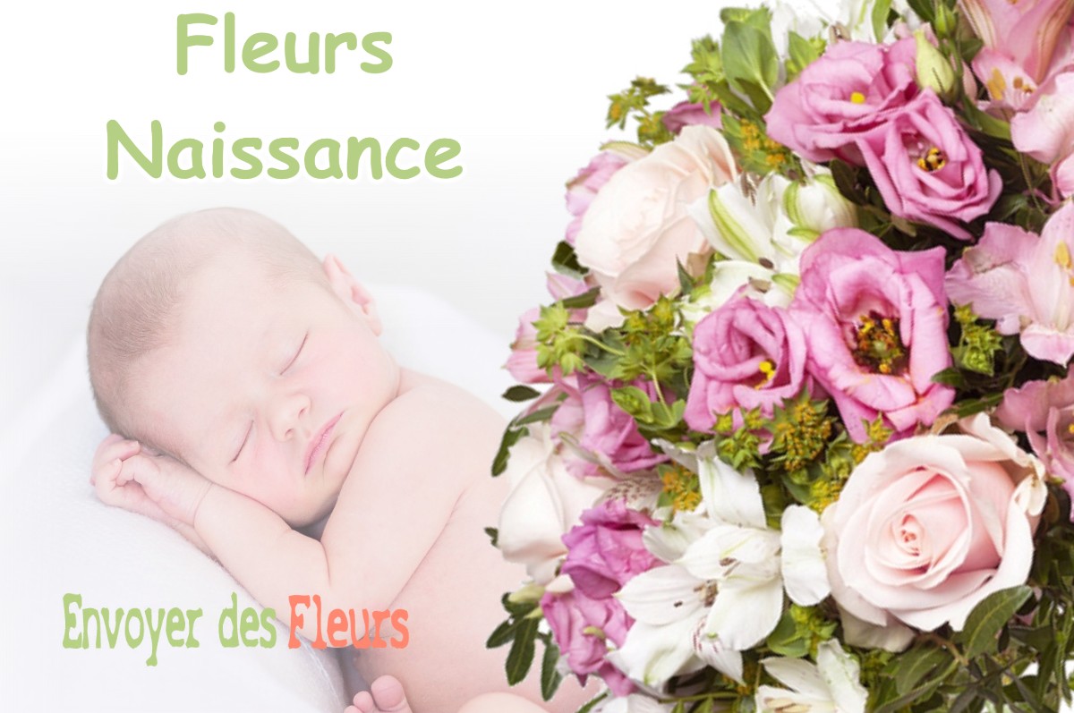 lIVRAISON FLEURS NAISSANCE à SORDE-L-ABBAYE